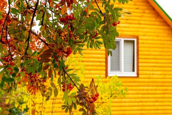 Garden Window Replacement in Waxahachie